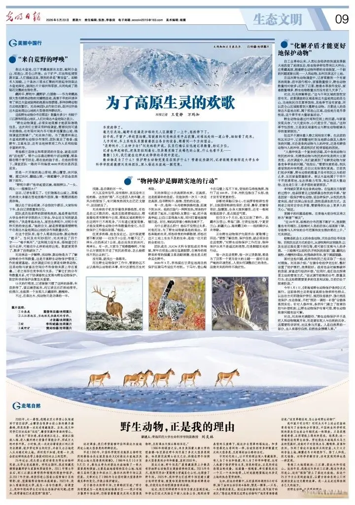 AG真人中国官网登录入口 野活泼物，恰是我的情理