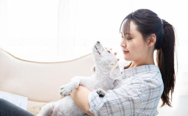 AG真人中国官网登录入口 年青东说念主为何热衷养宠物? 背后原因大揭秘!