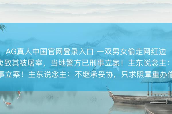 AG真人中国官网登录入口 一双男女偷走网红边牧，又以180元价钱贩卖致其被屠宰，当地警方已刑事立案！主东说念主：不继承妥协，只求照章重办偷狗者