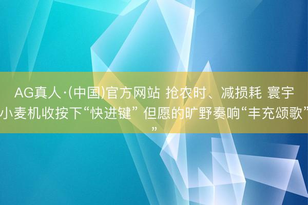 AG真人·(中国)官方网站 抢农时、减损耗 寰宇小麦机收按下“快进键” 但愿的旷野奏响“丰充颂歌”
