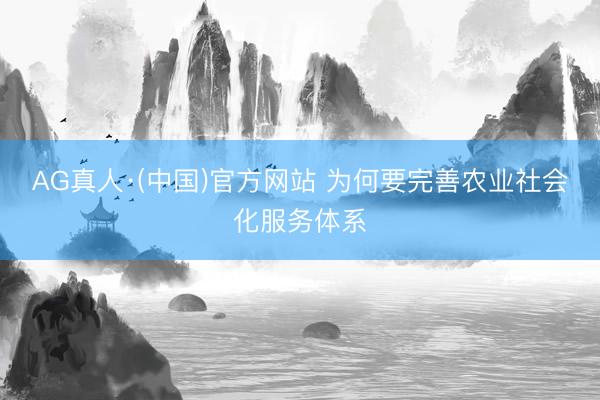 AG真人·(中国)官方网站 为何要完善农业社会化服务体系