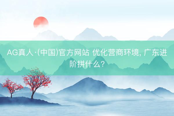 AG真人·(中国)官方网站 优化营商环境， 广东进阶拼什么?
